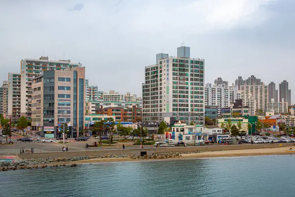 Kumlu sahil şeridi ve Pohang, Güney Kore 'de sahile bakan binalar.