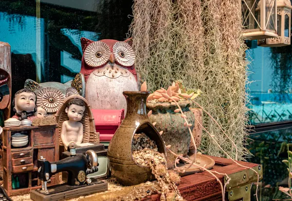 Pohang Güney Kore 'deki bir kafede kahverengi bitkiler ve baykuş süsleme heykeli.