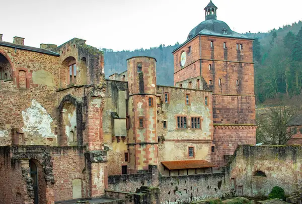 Tarihi Schloss Heidelberg Şatosu Heidelberg Almanya 'sında geleneksel Alman mimarisi. Fotoğraf sabah çekildi.