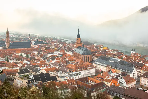Heidelberg Almanya 'sındaki eski kasaba köyünün ortaçağ ve geleneksel mimarisi. Fotoğraf bulutlu bir sabahta çekildi.