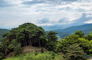 Güney Kore 'de yemyeşil ağaç ormanı ve dağ manzarası bulutlu bir yaz gününde