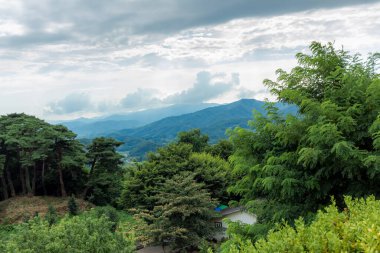 Güney Kore 'de yemyeşil ağaç ormanı ve dağ manzarası bulutlu bir yaz gününde