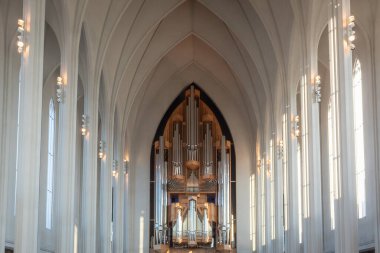 Reykjavk şehri Atlantik Okyanusu 'nun kıyı şeridi boyunca uzanan gökdelenler. Fotoğraf güneşli bir günde İzlanda 'da çekildi.