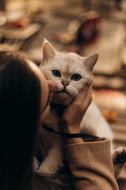 Beyaz kedili sevimli bir dişinin dikey görüntüsü.