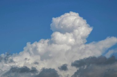 Harika pofuduk Cumulus bulutları Güzel, sıcak bir yaz gökyüzünde.