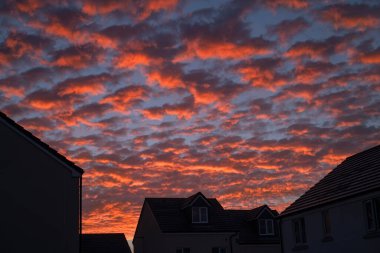 Güzel Altocumulus gökyüzü bir yaz sabahı şafaktan hemen sonra.