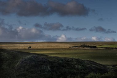 Güneşli bir günde The Chains on Exmoor 'un manzarası