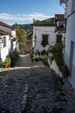 İspanya 'nın Endülüs şehrinde eski güzel bir cadde. Jimena de la Frontera 'da beyaz boyalı binaları ve bitkileri olan eski bir kaldırım. Harika bir seyahat yeri - mavi gökyüzü ve flamenko!