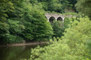 İngiltere 'nin Shropshire kentindeki Ironbridge' deki Severn Nehri.