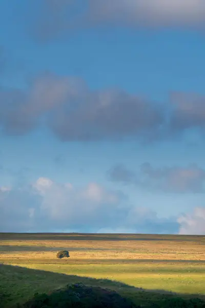 Kuzey Devon, İngiltere 'deki Zincir ve Ekspres Manzarası.