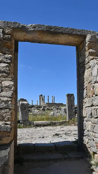 Berberi-Roma şehri Volubilis, Fas. İ.Ö. 3. yüzyıldan kalma..