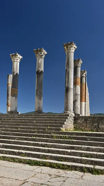 Berberi-Roma şehri Volubilis, Fas 'tan sütunlar. İ.Ö. 3. yüzyıldan kalma..