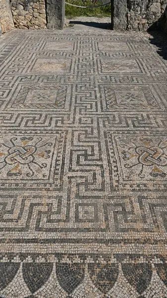 Eski Berber 'deki mozaikler - Fas' taki Roma şehri Volubilis. İ.Ö. 3. yüzyıldan kalma..