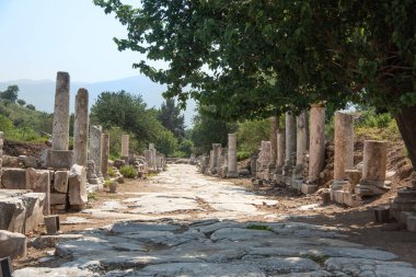 Antik Roma şehri Efes 'te, dükkanlar ve sütunlarla dolu ana caddelerden biri. Şehir M.Ö. 10. yüzyıla dayanıyor..