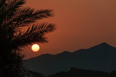 Avuç içleriyle tropik bir sahilde gün batımı