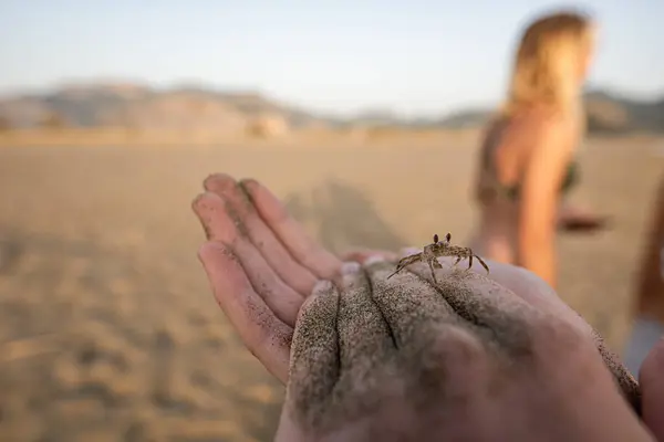 Bebek yengeç gün batımı sahilinde bulundu.