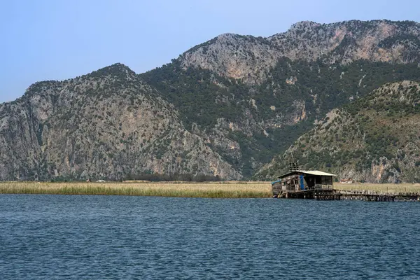 Türkiye 'nin güneyindeki Dalyan' da nehir kıyısındaki doğal göl