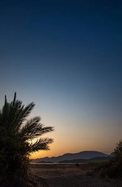 Tropik bir plajda palmiyelerden süzülen gün batımı