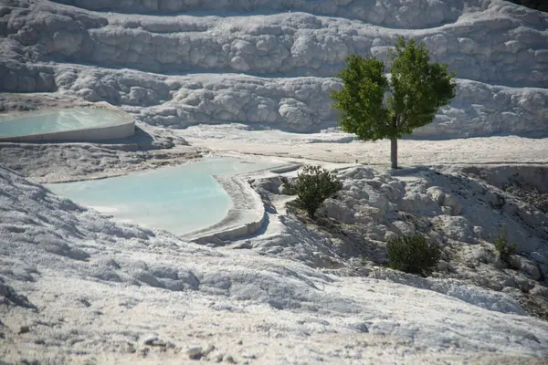Travertine terasları bahar güneşinde bembeyaz parlıyordu. Havuzlar termal yaylar ve kalsiyum karbonat yataklarıyla oluşmuş..