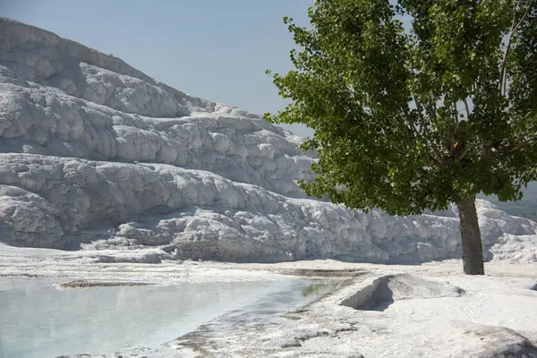 Travertine terasları bahar güneşinde bembeyaz parlıyordu. Havuzlar termal yaylar ve kalsiyum karbonat yataklarıyla oluşmuş..