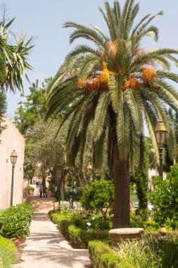 Oudayas Kasbah 'ın içindeki Endülüs tarzı bahçeler Rabat' ın kalbinde..