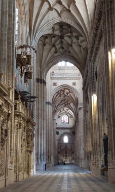 Salamanca Katedrali 'nin mimarisi 1513 ile 1733 yılları arasında Gotik tarzda inşa edilmiştir..