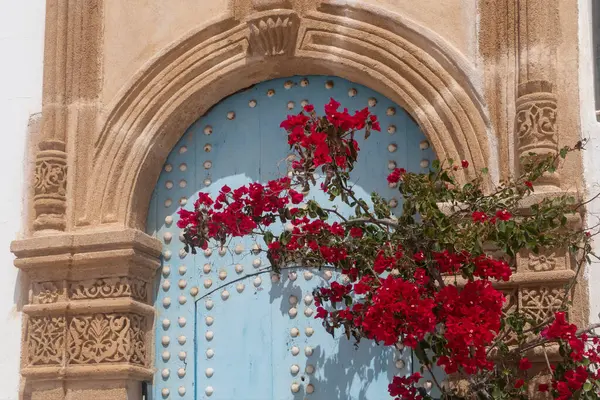 Bougainvillea ve Rabat 'taki eski Oudayas Kasbah' ın dar sokaklarında eski bir kapı..
