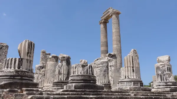 Sanatçılar çalışma masasındaki bir kavanozda fırça boyuyorlar..