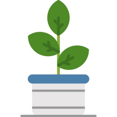 Pot kutsal kişilerin resmi içinde bitki