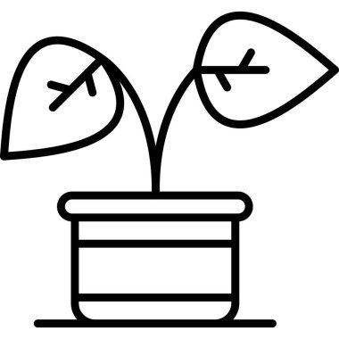 saksı. Web tasarımı