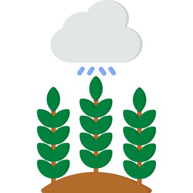 yağmur damlalı bitki.