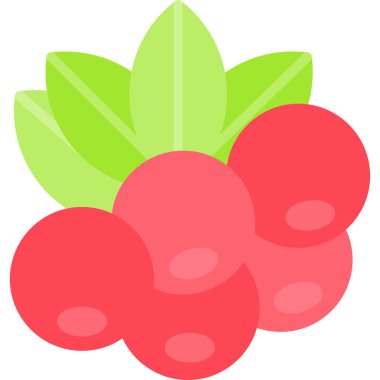 ahududu taze ikonu düz stil