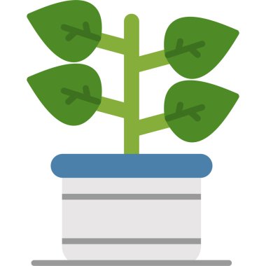 saksı bitkisi simgesi