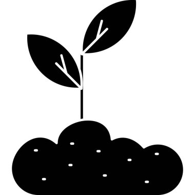 Bitki siyah bir dizaynda büyüyor.