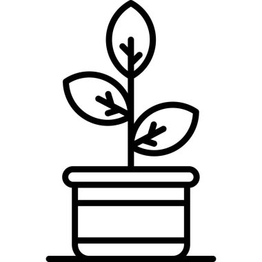 saksıda bitki, vektör illüstrasyonu