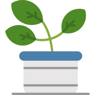 demlikteki bitki, vektör çizimi, düz tasarım