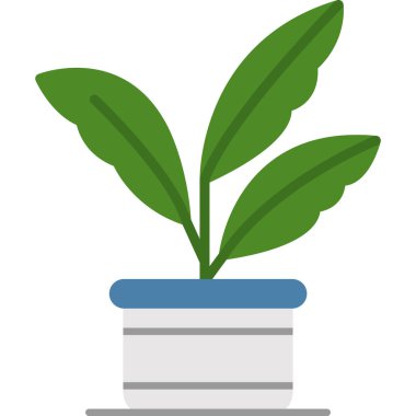 Saksı bitkisi, illüstrasyon, vektör, beyaz arka planda.