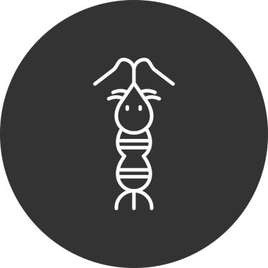 Tavşan simgesi vektör illüstrasyonu