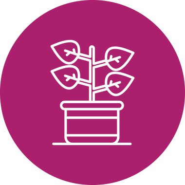 Bir bitkinin vektör illüstrasyonu