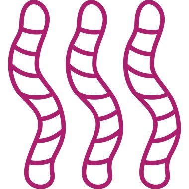 insan anatomisi vektör çizim