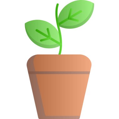 yeşil saksı bitkisi