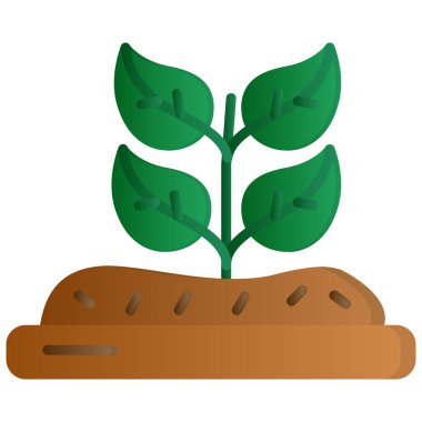 Ağaçlı toprak bitkisi