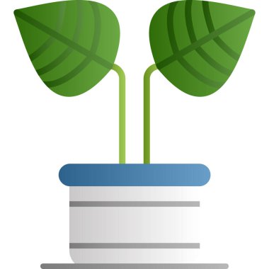 Saksıdan çıkan bitkiler. beyaz arkaplanda izole