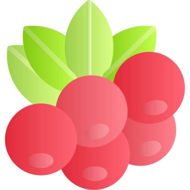 kırmızı ahududu, illüstrasyon, beyaz arkaplanda vektör.