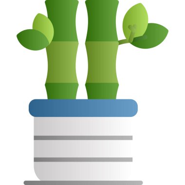 Bir kaba bitki, illüstrasyon, beyaz arkaplanda vektör