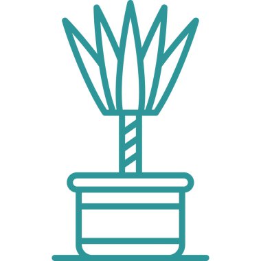 Tenceredeki kaktüs bitkisi