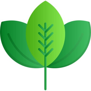 bitki yaprağı doğa simgesi