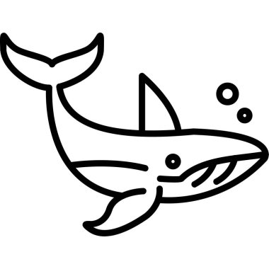 Köpekbalığı hayvan çizgi filmi vektör çizimi grafik tasarımı