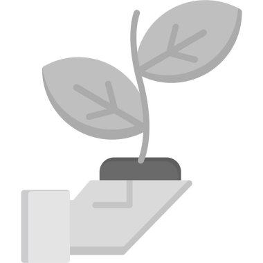 Gri arkaplanı olan bitki