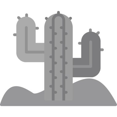 Kaktüs bitkisi izole ikon tasarımı, vektör illüstrasyon grafiği